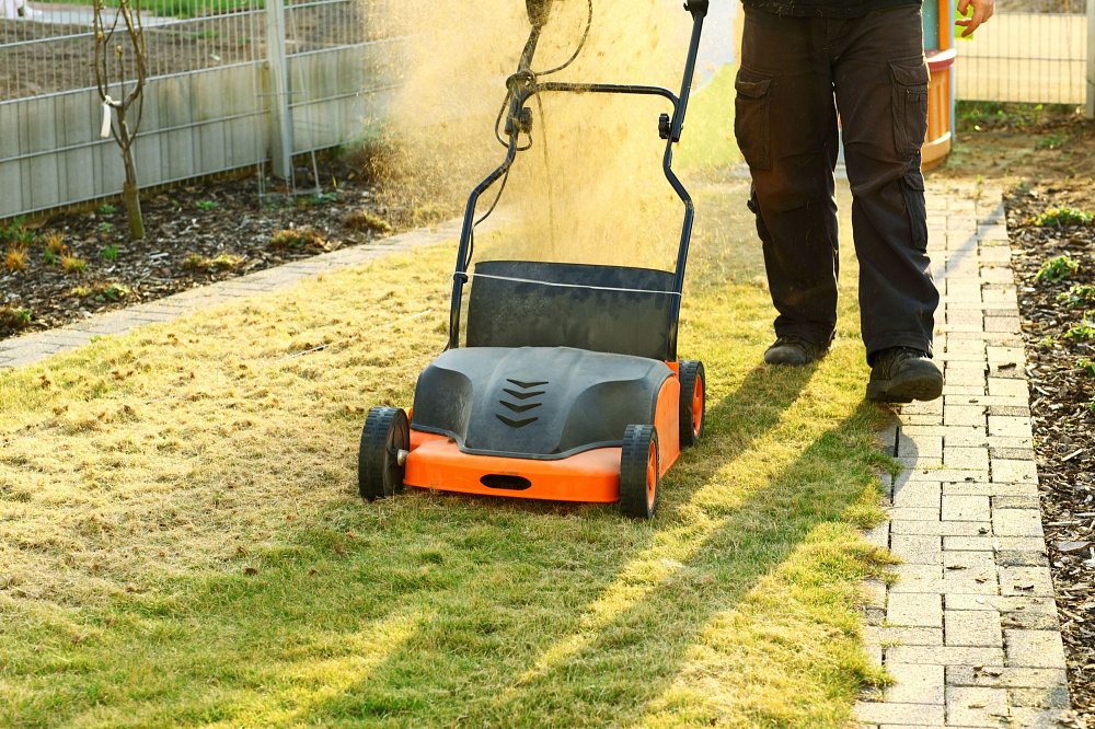 Scarifying and Aerating